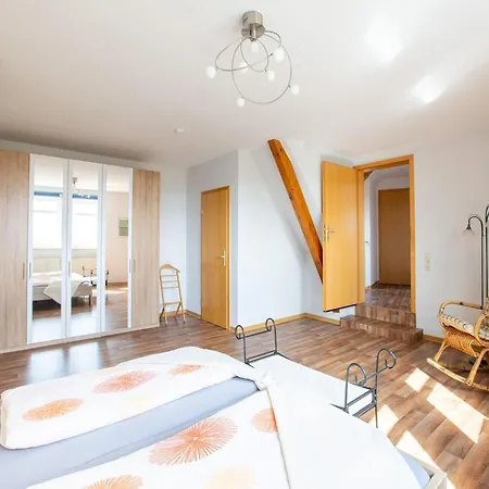 Delightful In Near Forest *