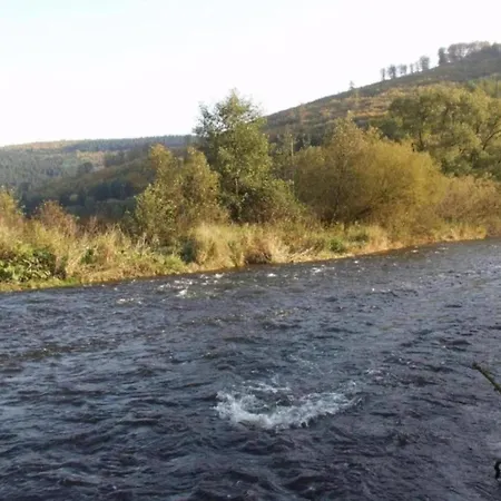 Apartment Delightful In Near Forest