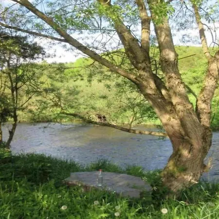 Delightful In Near Forest * Battenberg (Eder)