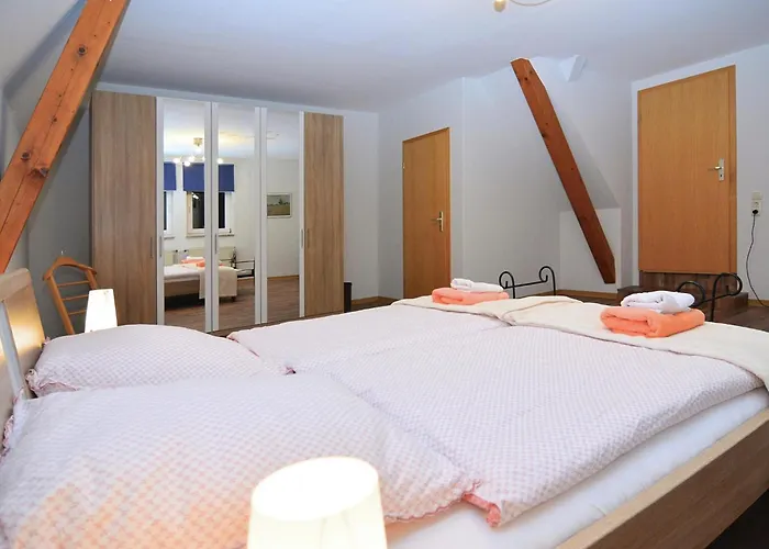 Delightful In Near Forest *