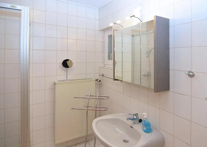 Delightful In Near Forest