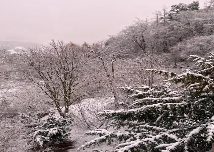 Delightful In Near Forest * Battenberg (Eder)