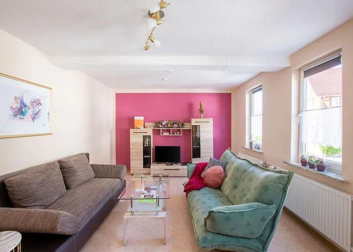 Delightful In Near Forest