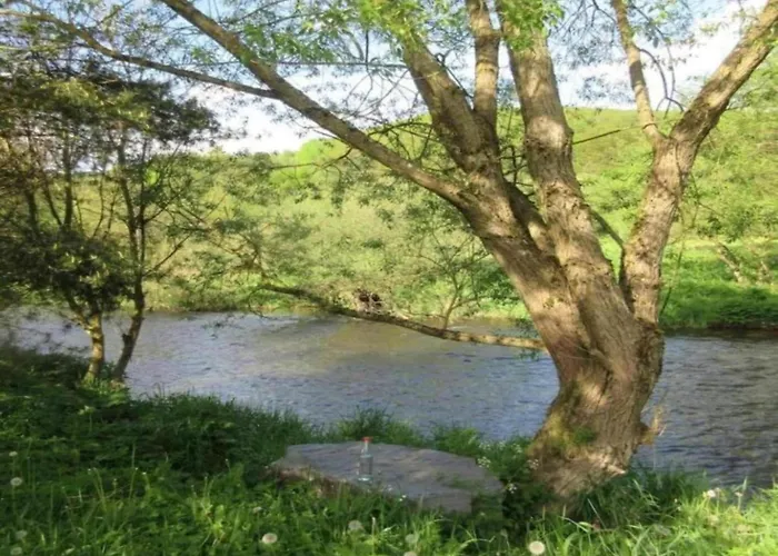 Delightful In Near Forest * Battenberg (Eder)