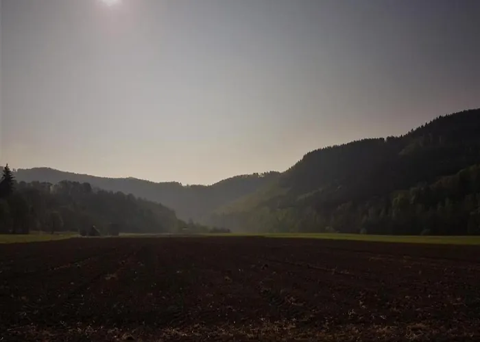 Delightful In Near Forest Apartment