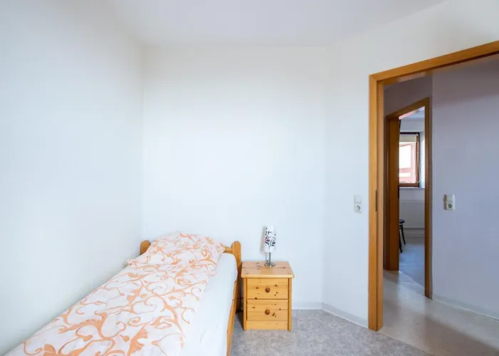 Delightful In Near Forest *