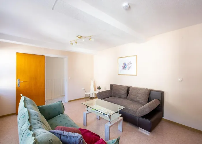 Delightful In Near Forest